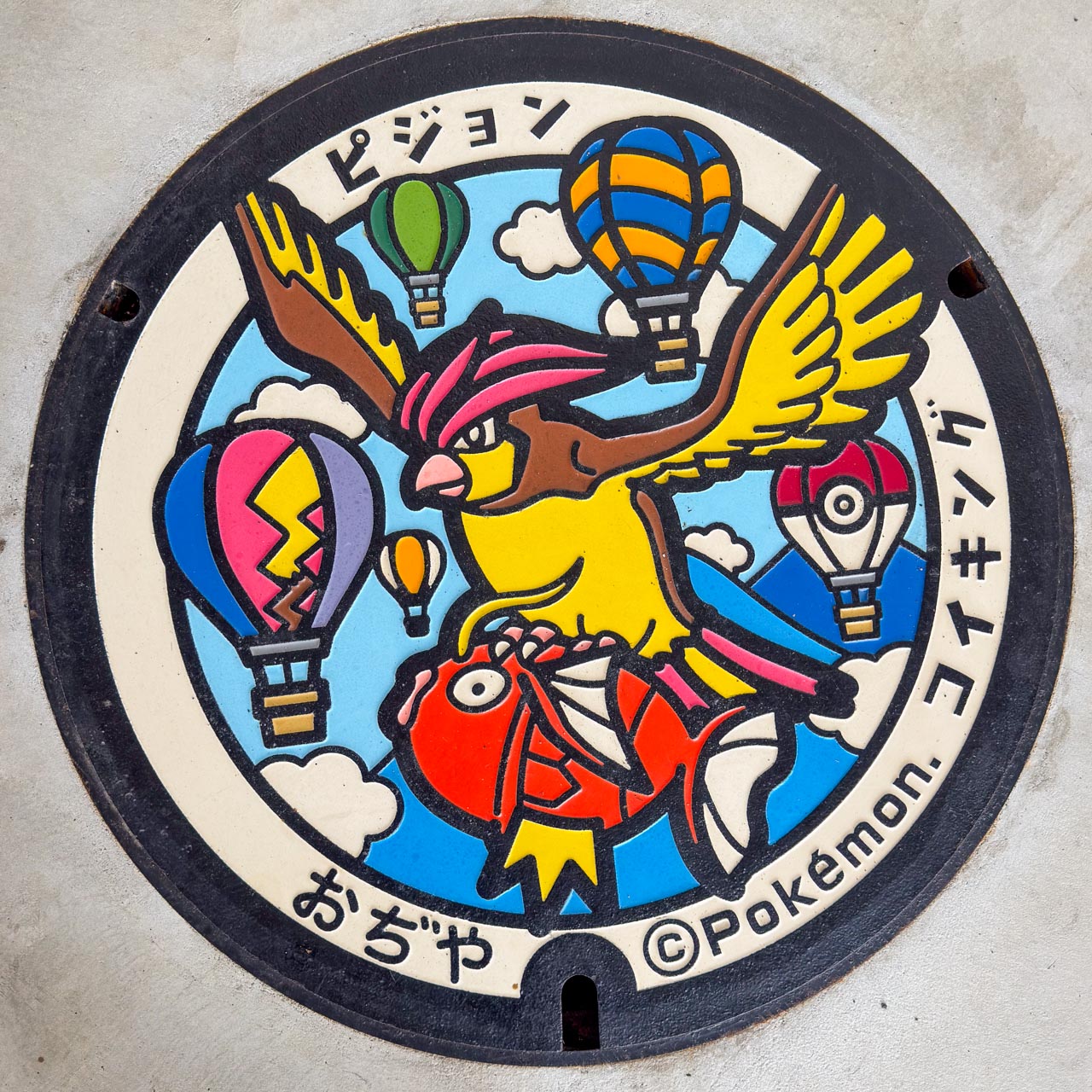 ピジョンとコイキングのポケふた（撮影：蓋ログ）