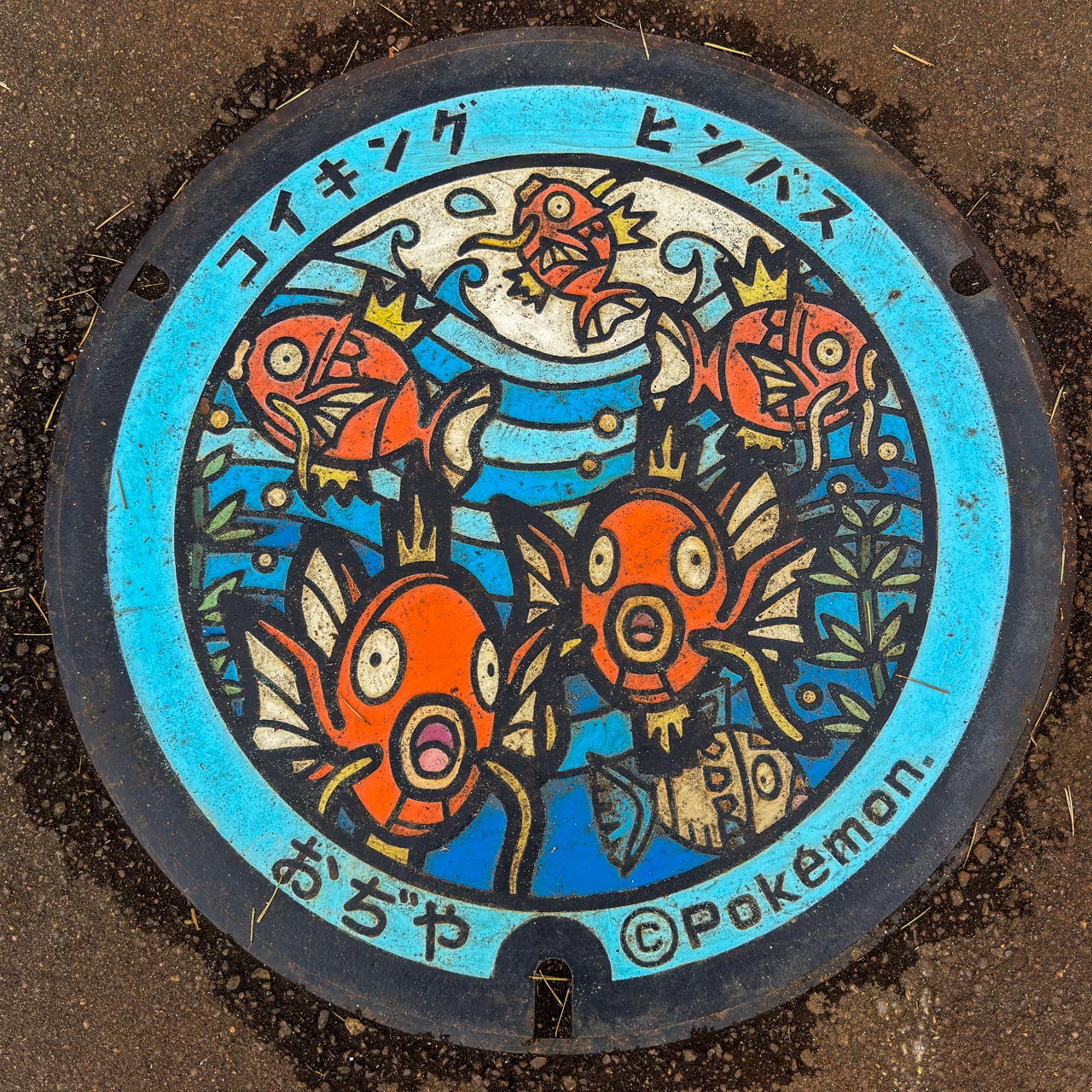 コイキングとヒンバスのポケふた（撮影：蓋ログ）