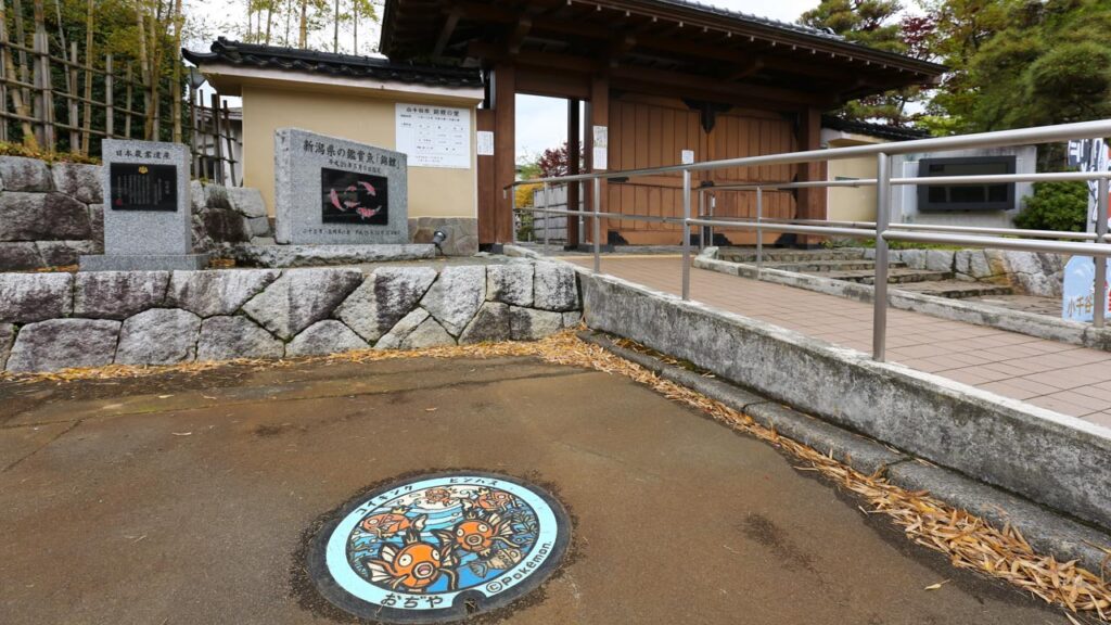 コイキングとビンバスのポケふた設置場所｜小千谷市錦鯉の里（撮影：蓋ログ）