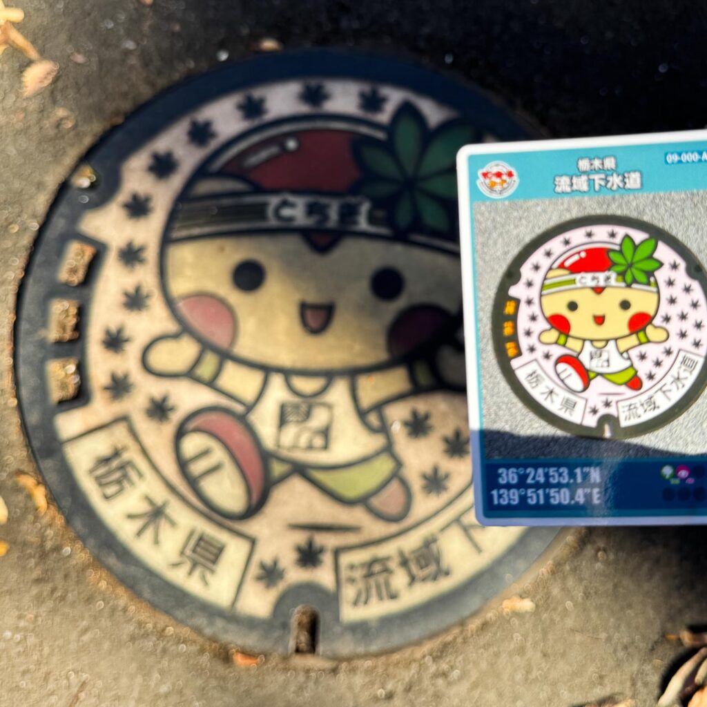 流域下水道A「とちまるくん」のデザインマンホール蓋と対応するマンホールカードを現地で並べた様子