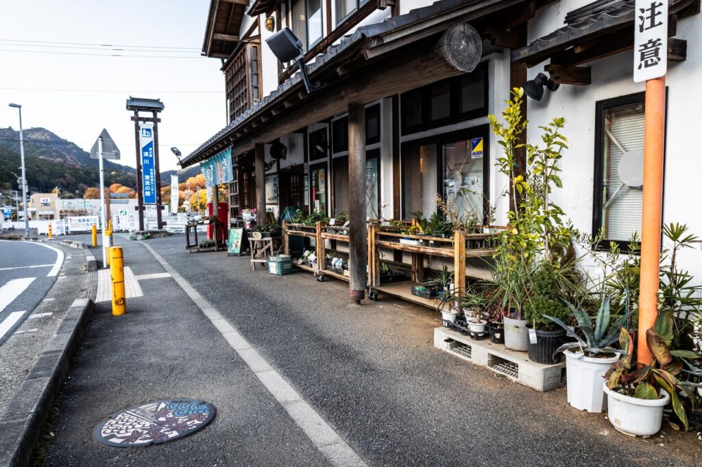 イロハモミジと虹の大橋の実物マンホール蓋が設置されている場所周辺の現地写真