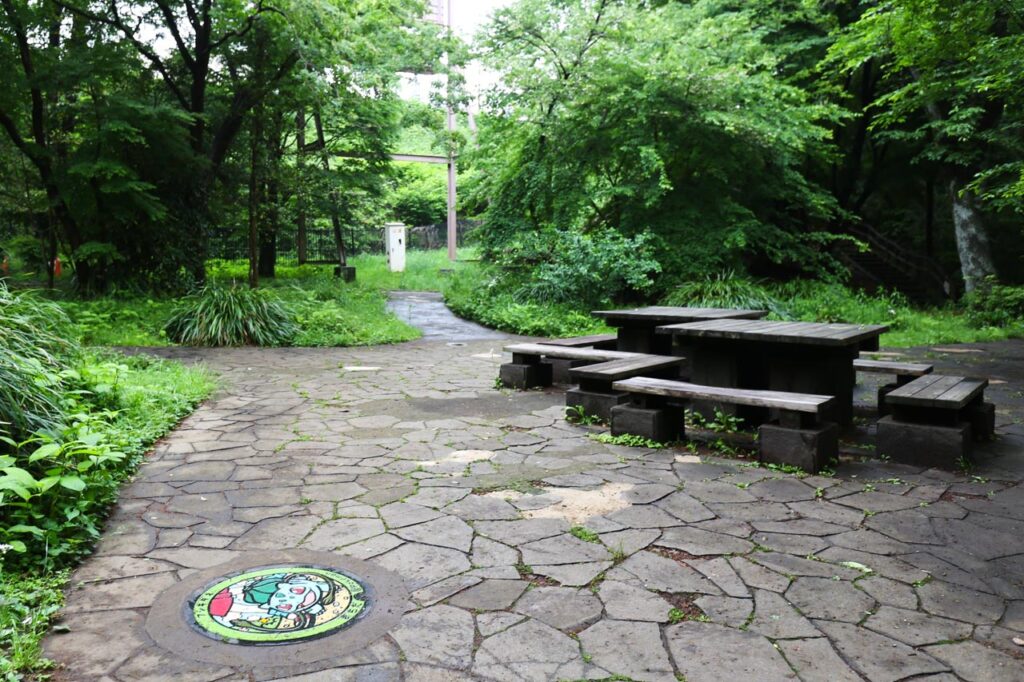 フシギダネのポケモンマンホールの設置場所の芹ヶ谷公園