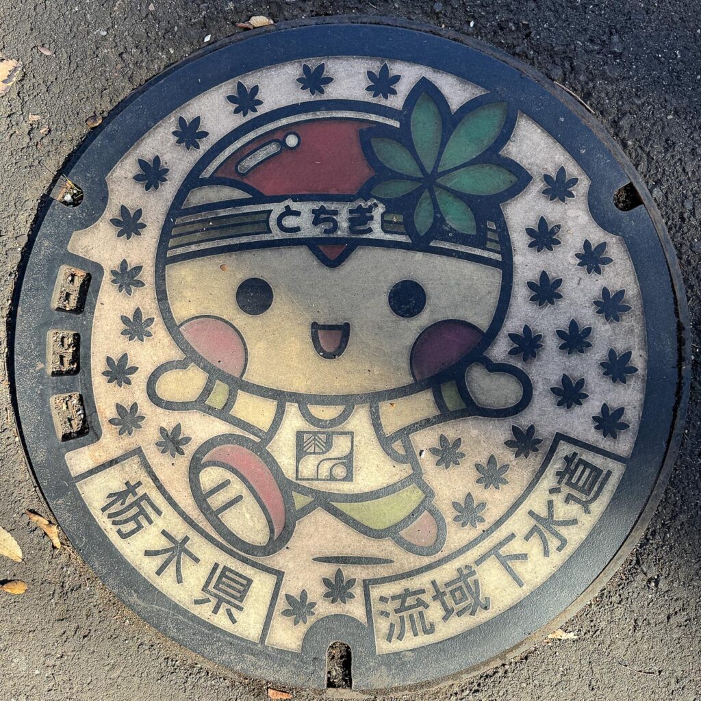 現地で撮影した「とちまるくん」のデザインマンホール蓋