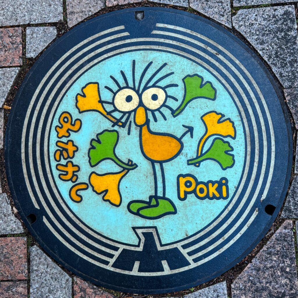 現地で撮影したPoki（ポキ）（13-204-A001）のマンホール蓋