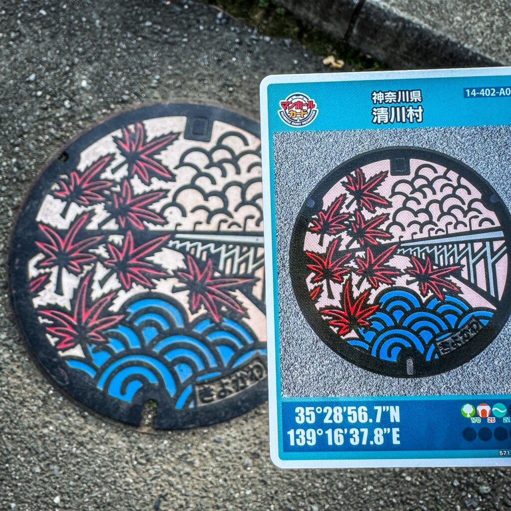 イロハモミジと虹の大橋の実物マンホールと対応するマンホールカード 14-402-A001